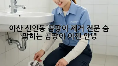 아산 신인동 곰팡이 제거 전문🛠️ 숨 막히는 곰팡이, 이젠 안녕! 👋