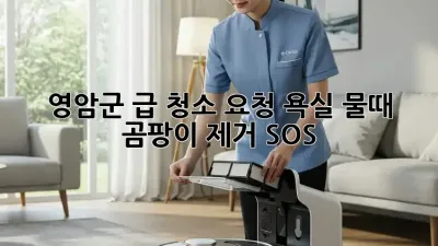 영암군 급 청소 요청! 욕실 물때, 곰팡이 제거 SOS!